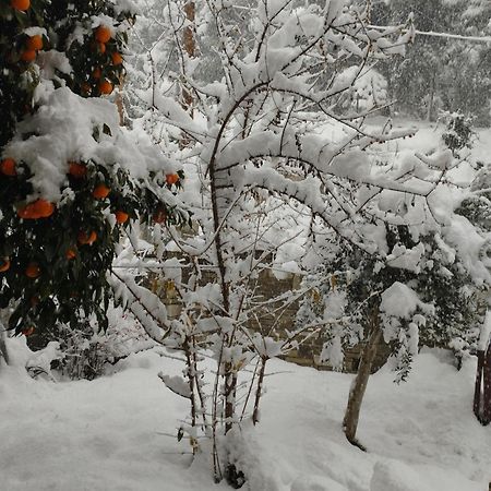 Mountain Breeze Sanctuary Villa Golos Dış mekan fotoğraf