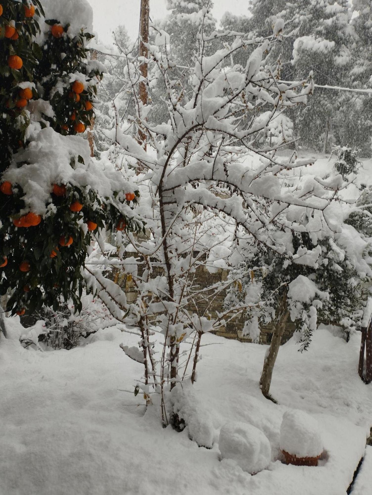 Mountain Breeze Sanctuary Villa Golos Dış mekan fotoğraf
